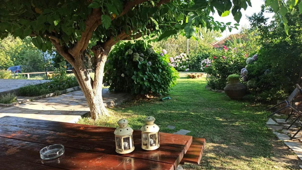 Mirsini Apartments Kariotes ภายนอก รูปภาพ