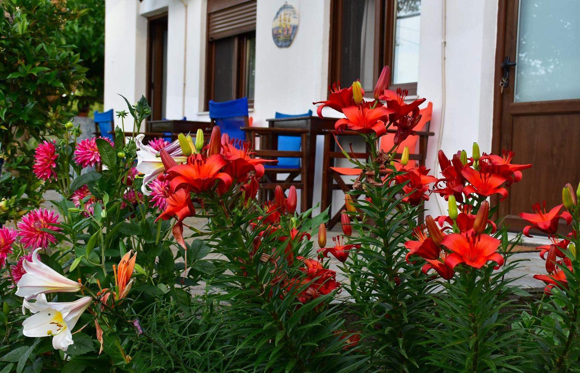 Mirsini Apartments Kariotes ภายนอก รูปภาพ