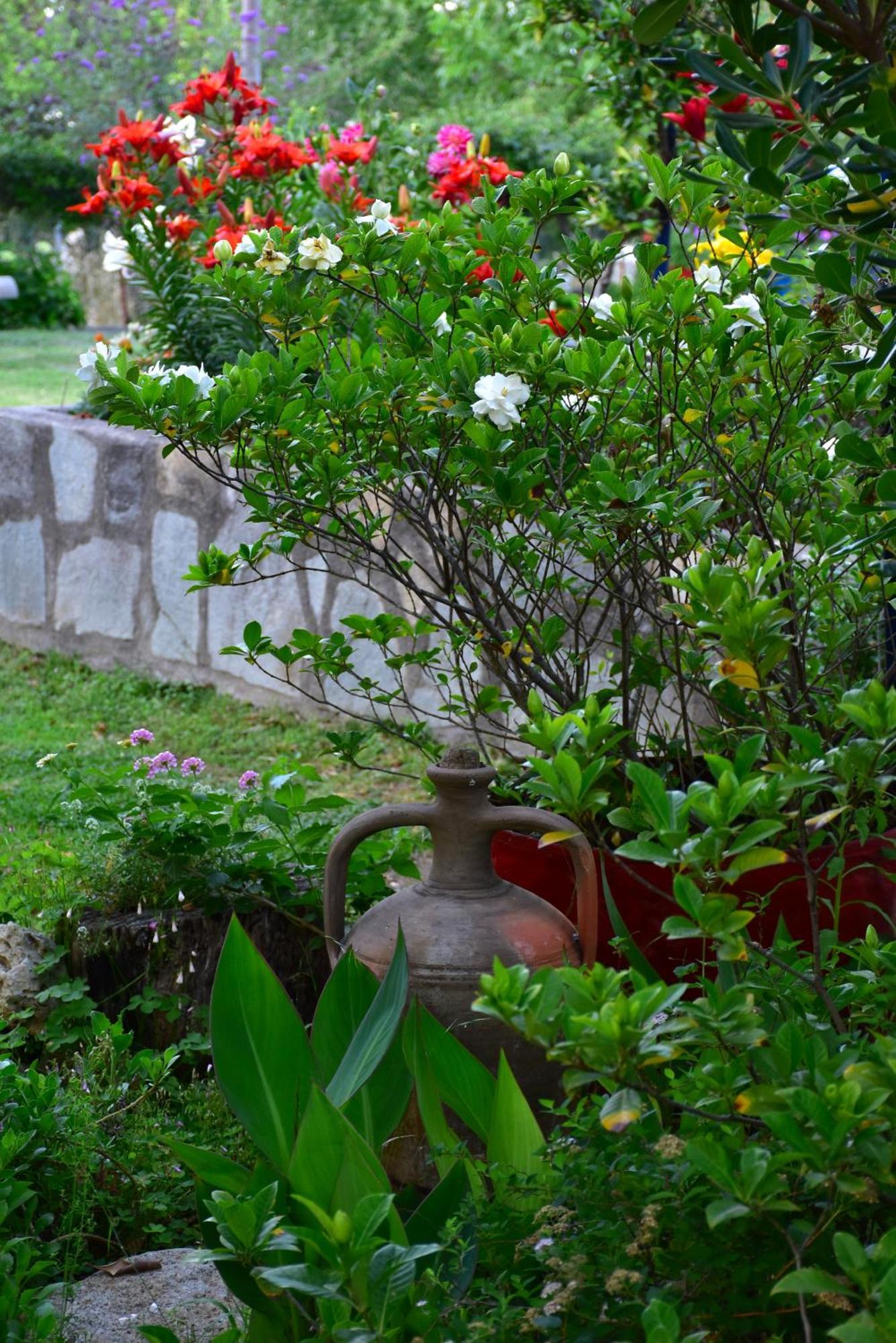 Mirsini Apartments Kariotes ภายนอก รูปภาพ